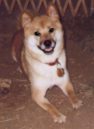 Bali is a beautiful, young lady.