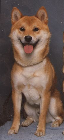 Beni