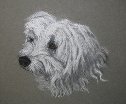 pastel portraits of your pets