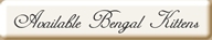 Savannah kittens, Bengal kittens for sale in San Diego, CA