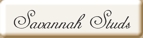 Savannah kittens, Bengal kittens for sale in San Diego, CA