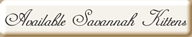 Savannah kittens for sale San Diego